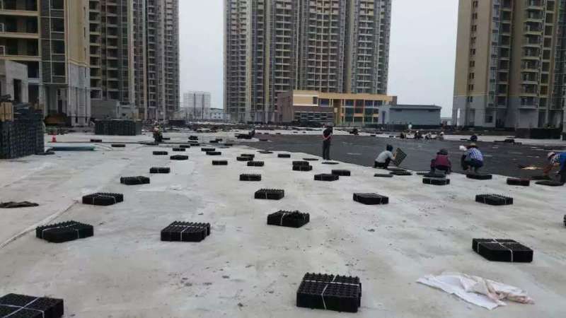 屋顶花台黄瓜官网APP哪个好?